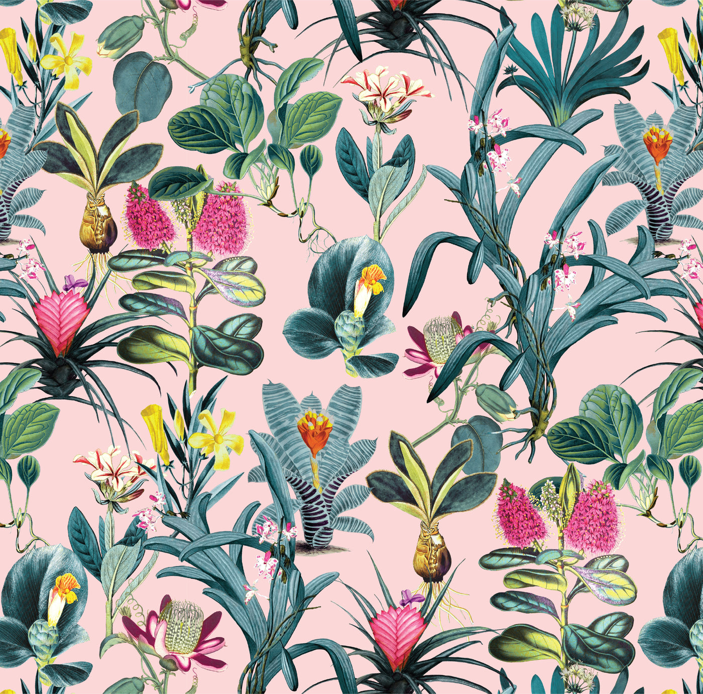 Lisse Wallpaper Katie Kime Design