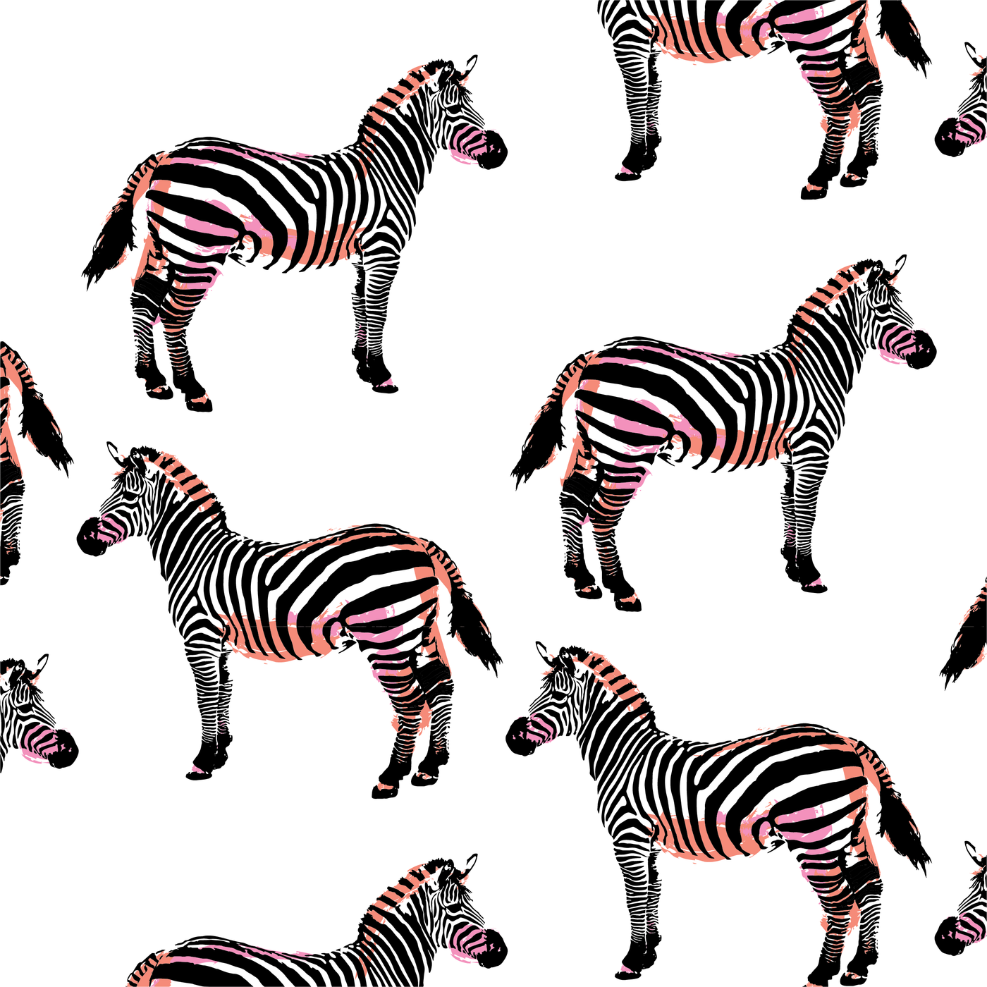 Wallpaper Zebras Wallpaper Katie Kime Design
